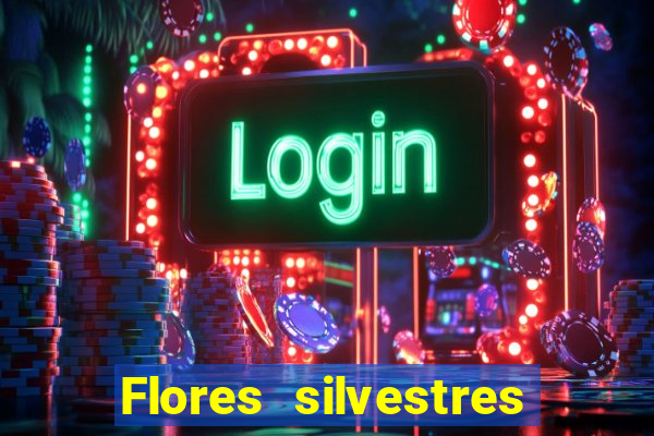 Flores silvestres brasileiras 25