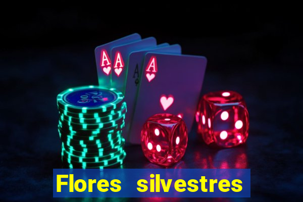 Flores silvestres brasileiras 25