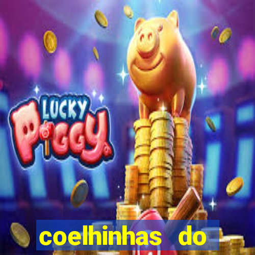 coelhinhas do brasil site