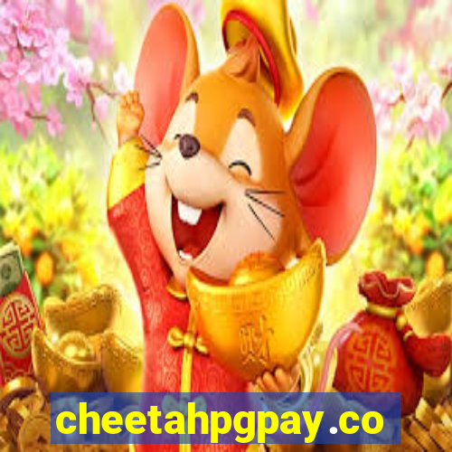 cheetahpgpay.com