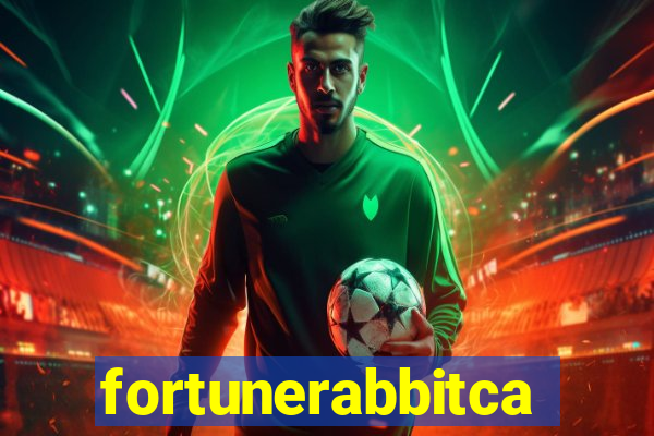 fortunerabbitcasino.online