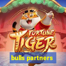 bulls partners