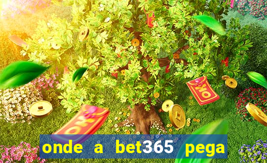 onde a bet365 pega as estatisticas