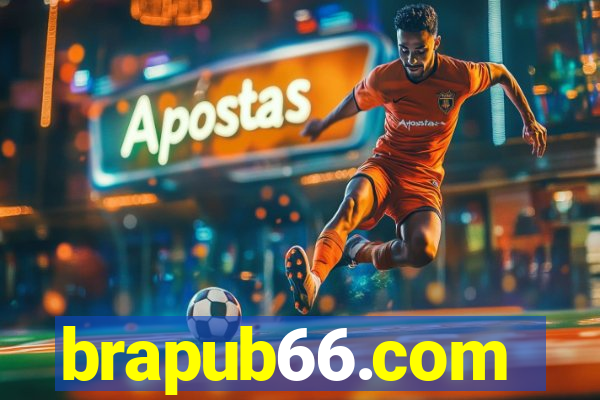 brapub66.com