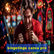 bingotingo canva pro