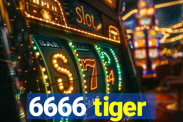 6666 tiger