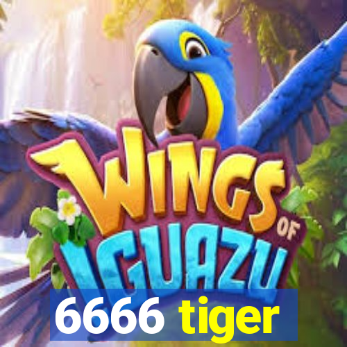 6666 tiger