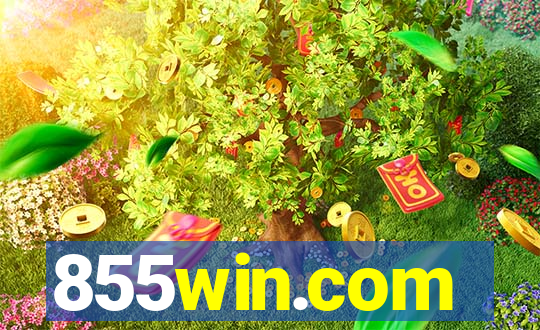 855win.com