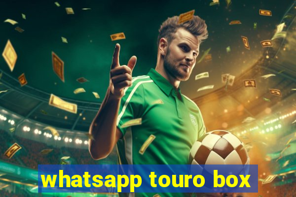 whatsapp touro box