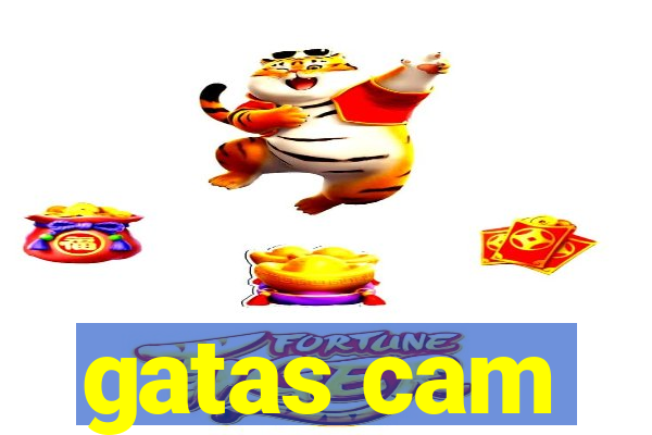 gatas cam