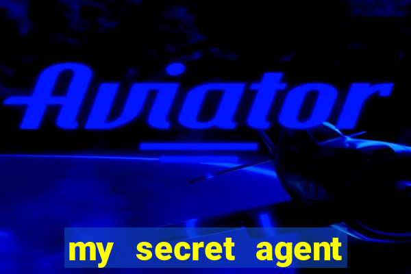 my secret agent husband legendado