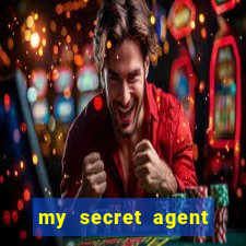 my secret agent husband legendado