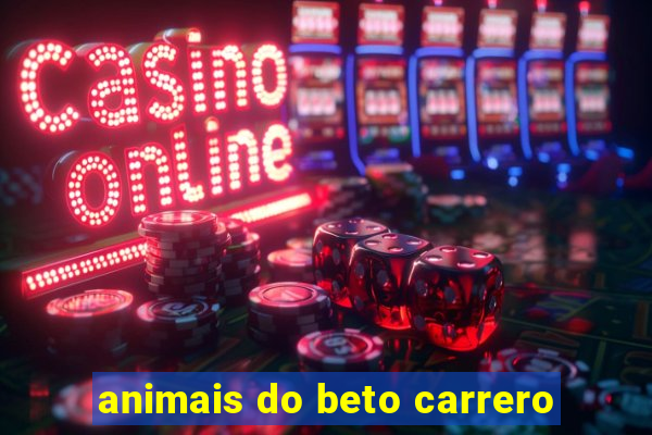 animais do beto carrero