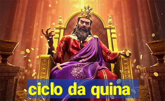 ciclo da quina