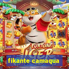 fikante camaqua