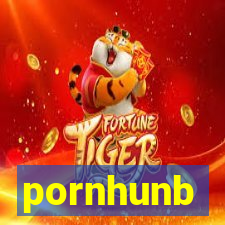 pornhunb