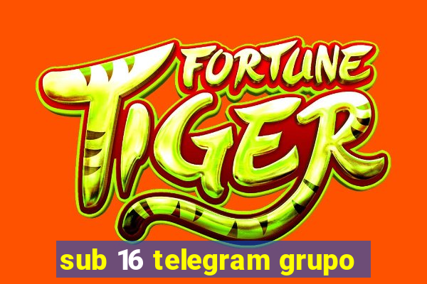 sub 16 telegram grupo