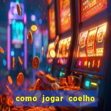 como jogar coelho da fortuna