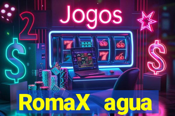 RomaX agua sanitaria fispq agua sanitaria romax