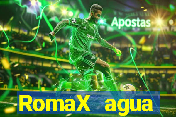 RomaX agua sanitaria fispq agua sanitaria romax