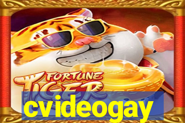 cvideogay