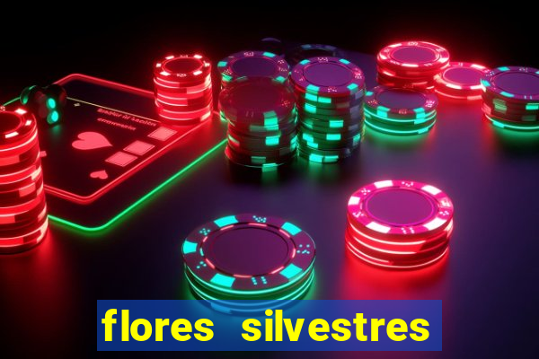 flores silvestres desbravadores desbravadores 25 flores silvestres e seus nomes