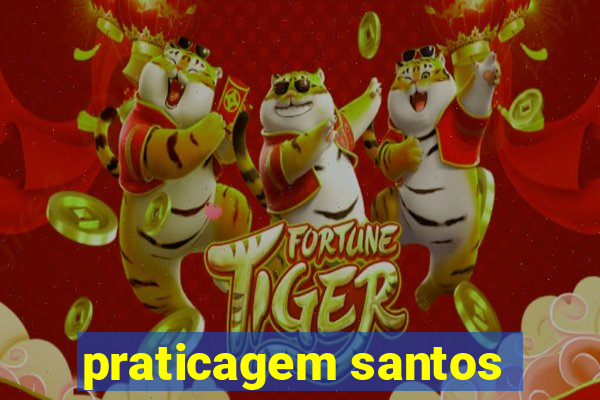 praticagem santos