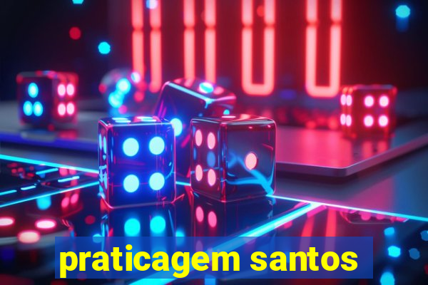 praticagem santos