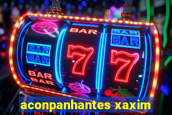 aconpanhantes xaxim