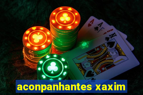 aconpanhantes xaxim