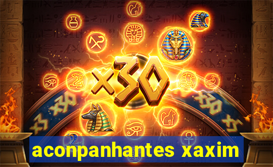 aconpanhantes xaxim