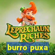 burro puxa