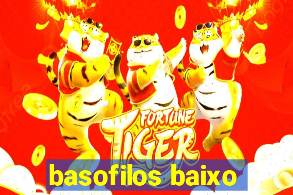 basofilos baixo