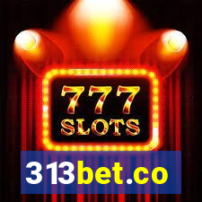 313bet.co