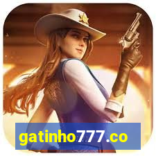 gatinho777.co