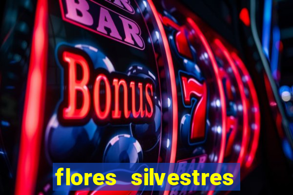 flores silvestres desbravadores desbravadores 25