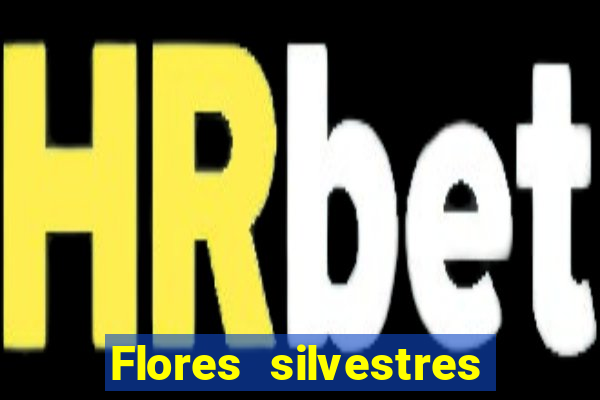 Flores silvestres brasileiras brasileiras flores silvestres nomes e imagens