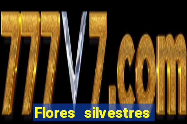 Flores silvestres brasileiras brasileiras flores silvestres nomes e imagens