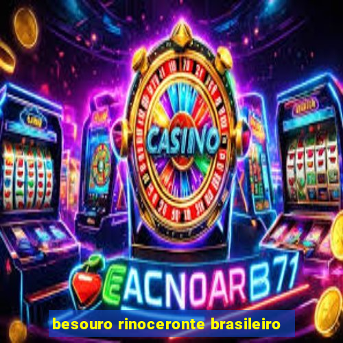 besouro rinoceronte brasileiro