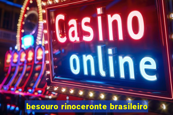 besouro rinoceronte brasileiro