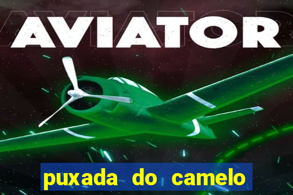 puxada do camelo no jogo do bicho