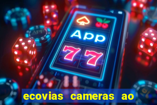 ecovias cameras ao vivo santos