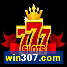 win307.com