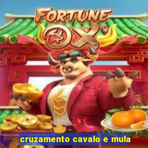 cruzamento cavalo e mula