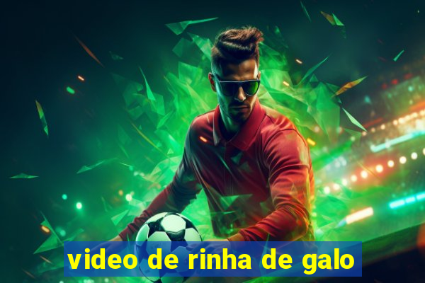 video de rinha de galo