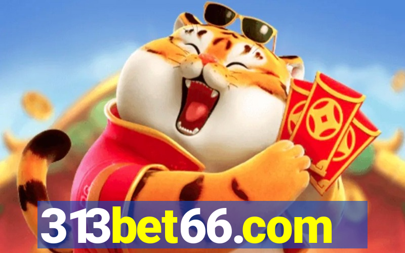 313bet66.com