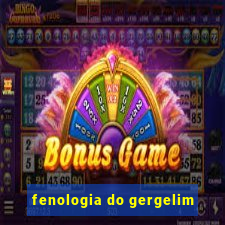 fenologia do gergelim