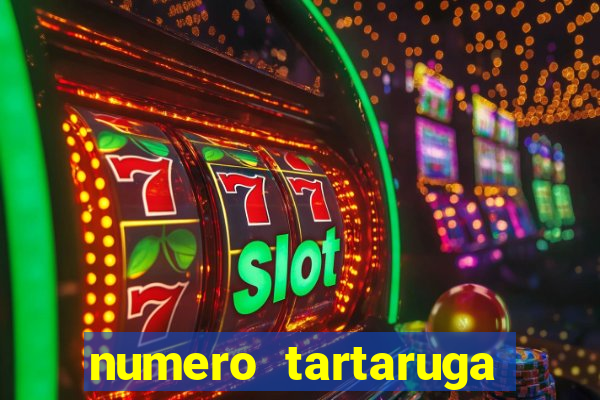 numero tartaruga jogo do bicho