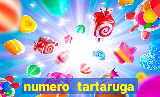 numero tartaruga jogo do bicho