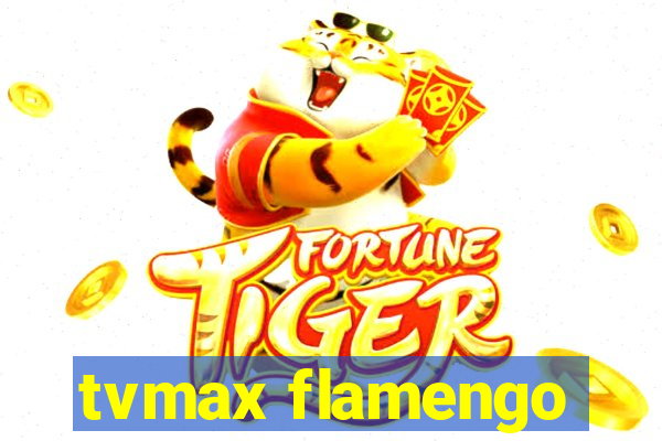 tvmax flamengo